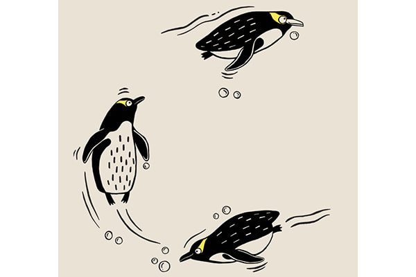 Speciale editie: Nieuw-Zeelandse geeloogpinguïn