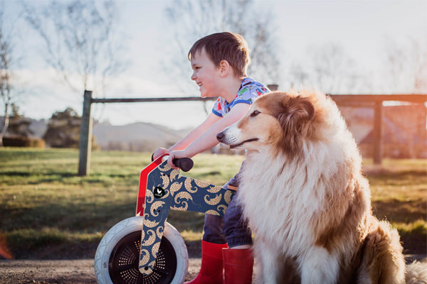 Verstelbaar zadel (28-46 cm)
