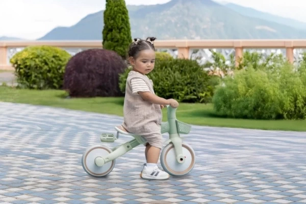 Met (afneembaar) mandje voorop